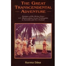 The Great Transcendental Adventure