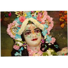 Deity Pictures of Lord Balaram