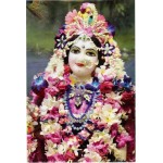 Deity Pictures of Radharani