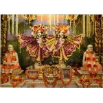 Deity Pictures of Gaur Nitai