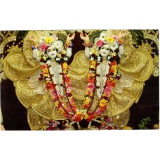 Deity Pictures of Gaur Nitai Deity Pictures of Gaur Nitai