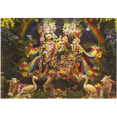 Deity Pictures of Krishna Balaram