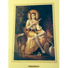 Gopal Krishna