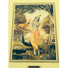 Krishna Playing Flute Krishna Playing Flute