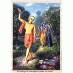 Lord Caitanya Art Print