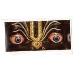 Small Narashima Eyes Sticker